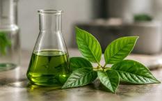 The Science Behind Kratom: What We Know