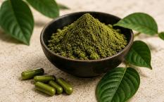 Kratom for Focus, Energy & Productivity